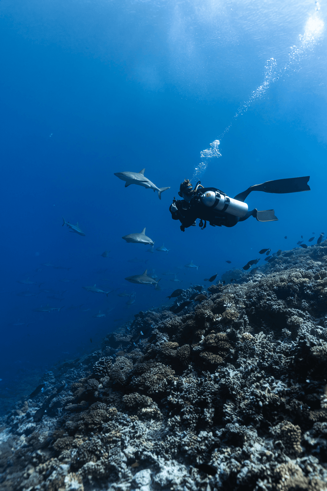 Beneath the Surface